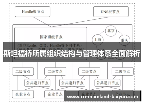 斯坦福桥所属组织结构与管理体系全面解析