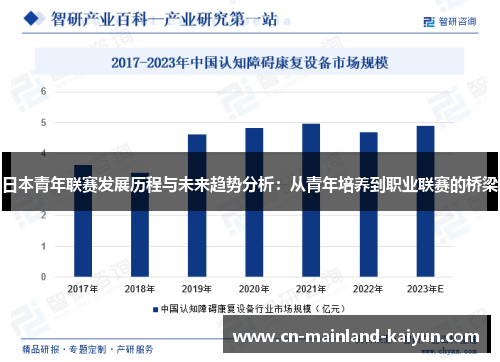 日本青年联赛发展历程与未来趋势分析:从青年培养到职业联赛的桥梁 日本青年联赛发展历程与未来趋势分析:从青年培养到职业联赛的桥梁